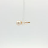 Freshwater Pearl Studs