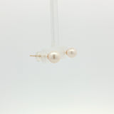 Freshwater Pearl Studs